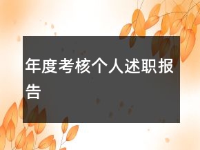 年度考核個人述職報告