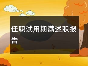 任職試用期滿述職報告