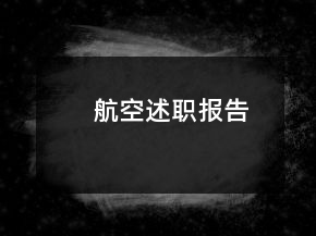 航空述職報告
