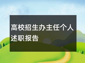 高校招生辦主任個人述職報告