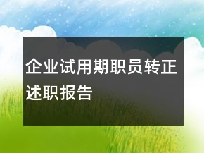 企業(yè)試用期職員轉(zhuǎn)正述職報(bào)告