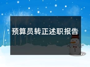 預(yù)算員轉(zhuǎn)正述職報(bào)告