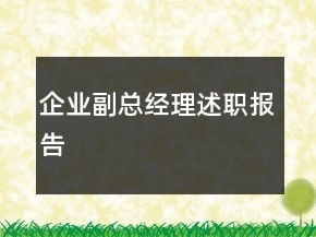 企業(yè)副總經(jīng)理述職報告