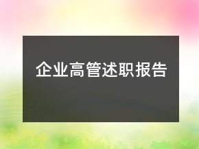 企業(yè)高管述職報(bào)告