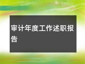 審計年度工作述職報告