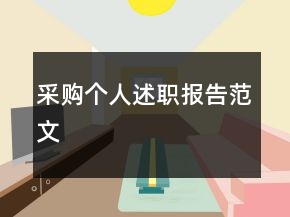 采購個人述職報告范文