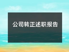 公司轉(zhuǎn)正述職報(bào)告