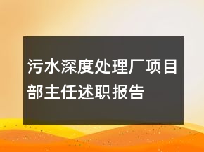 污水深度處理廠項(xiàng)目部主任述職報(bào)告