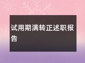 試用期滿轉(zhuǎn)正述職報告