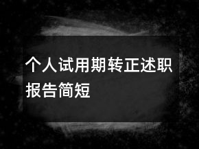 個人試用期轉(zhuǎn)正述職報告簡短