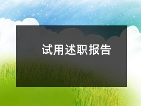 試用述職報告