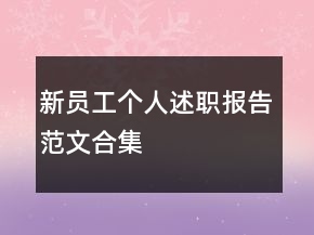 新員工個(gè)人述職報(bào)告范文合集