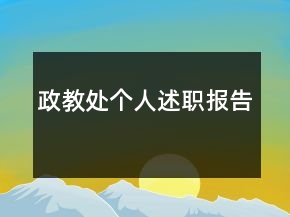 政教處個人述職報告