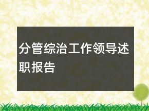 分管綜治工作領(lǐng)導(dǎo)述職報告