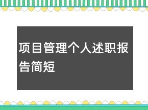 項目管理個人述職報告簡短