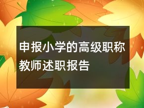 申報小學(xué)的高級職稱教師述職報告