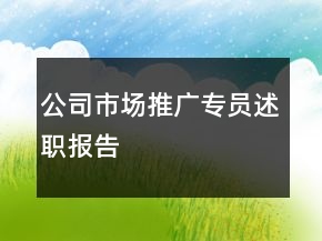 公司市場推廣專員述職報告