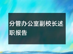 分管辦公室副校長述職報告