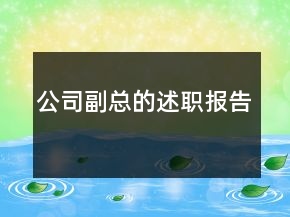公司副總的述職報告