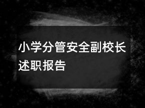 小學(xué)分管安全副校長述職報告