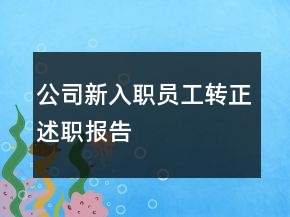 公司新入職員工轉(zhuǎn)正述職報(bào)告