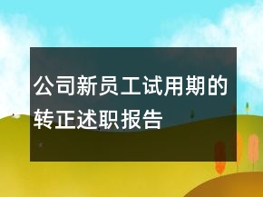 公司新員工試用期的轉(zhuǎn)正述職報告