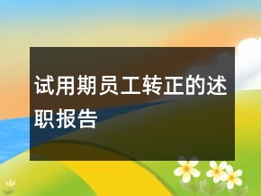 試用期員工轉(zhuǎn)正的述職報告