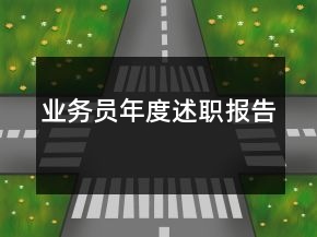 業(yè)務(wù)員年度述職報告