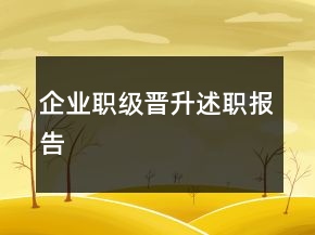 企業(yè)職級晉升述職報告
