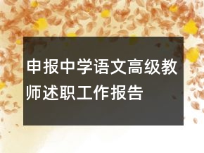 申報(bào)中學(xué)語(yǔ)文高級(jí)教師述職工作報(bào)告