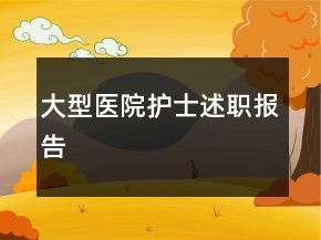 大型醫(yī)院護(hù)士述職報(bào)告