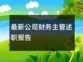最新公司財務主管述職報告