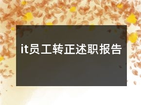 it員工轉(zhuǎn)正述職報告