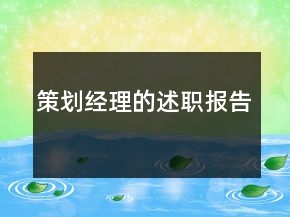 策劃經(jīng)理的述職報(bào)告