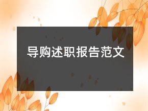 導(dǎo)購述職報告范文