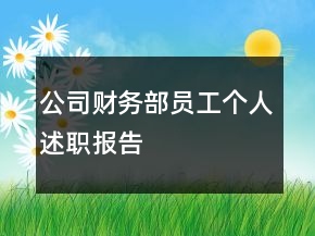 公司財務部員工個人述職報告