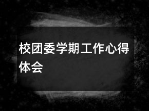 校團(tuán)委學(xué)期工作心得體會