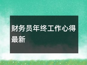 財(cái)務(wù)員年終工作心得最新