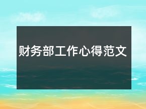 財務部工作心得范文