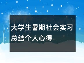 大學(xué)生暑期社會實習(xí)總結(jié)個人心得