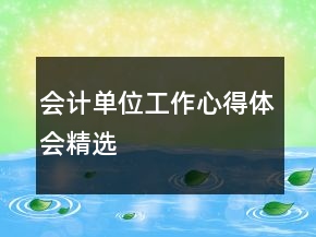 會計單位工作心得體會精選