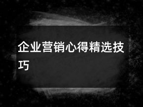 企業(yè)營銷心得精選技巧