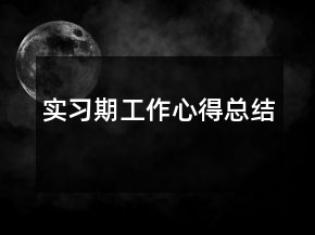 實(shí)習(xí)期工作心得總結(jié)