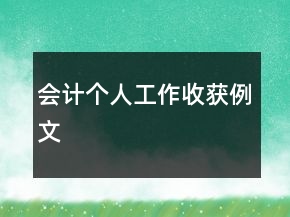 會計個人工作收獲例文