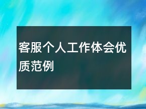 客服個(gè)人工作體會優(yōu)質(zhì)范例