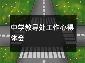 中學(xué)教導(dǎo)處工作心得體會(huì)