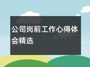 公司崗前工作心得體會精選