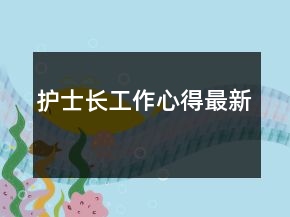 護(hù)士長工作心得最新