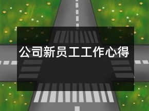 公司新員工工作心得