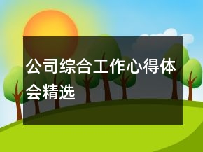 公司綜合工作心得體會精選